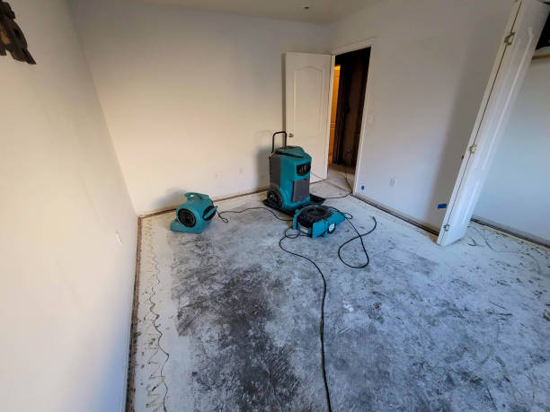 Best Water damage restoration cost  in Louisa, KY