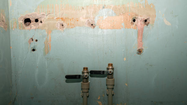 Best Commercial water damage restoration  in Louisa, KY