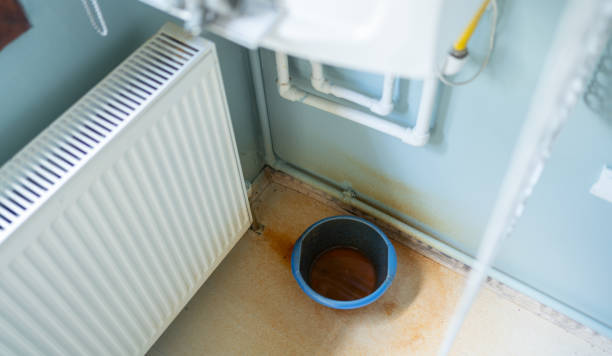Best Fire Damage Restoration  in Louisa, KY