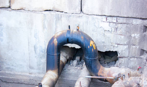 Best Mold removal after water damage  in Louisa, KY